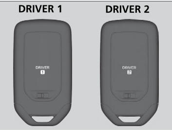 Honda CR-V. Driving Position Memory System*