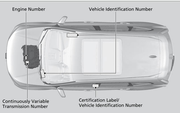 Honda CR-V. Identification Numbers