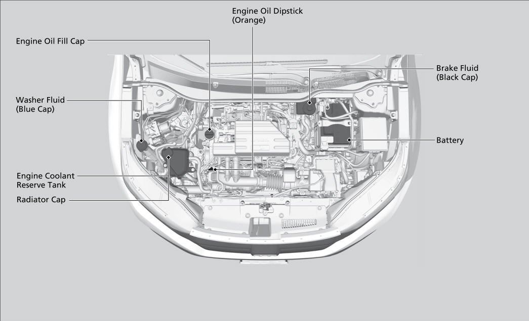 Honda CR-V. Maintenance Items Under the Hood